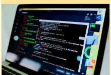 from-idea-to-ai-powered-mvp:-how-appvales-supports-startup-growth