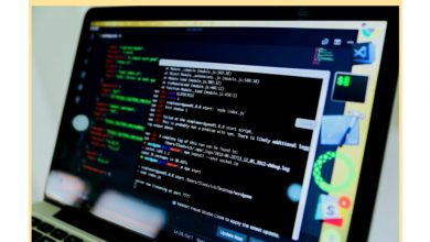 from-idea-to-ai-powered-mvp:-how-appvales-supports-startup-growth